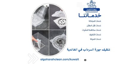 تنظيف جورة السرداب في الخالدية