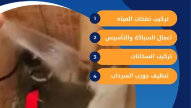 تنظيف جورة السرداب في الشامية