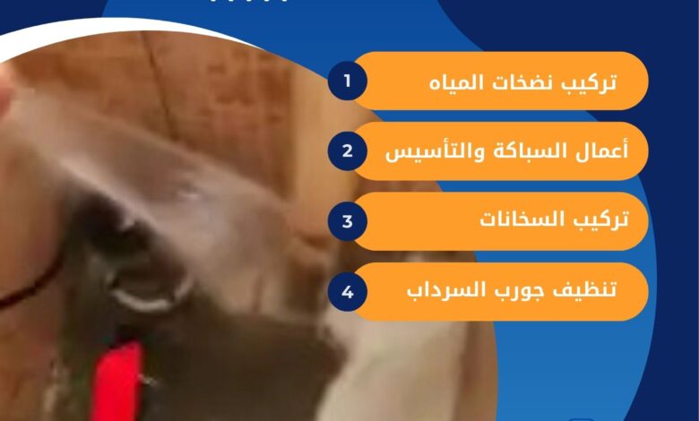 تنظيف جورة السرداب في الشامية