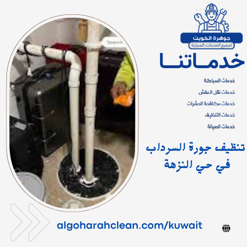 تنظيف جورة السرداب في حي النزهة