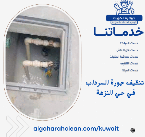تنظيف جورة السرداب في حي النزهة