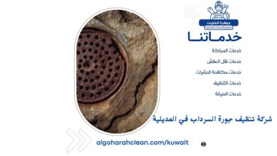شركة تنظيف جورة السرداب في العديلية
