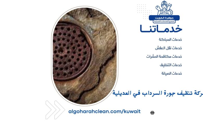 شركة تنظيف جورة السرداب في العديلية