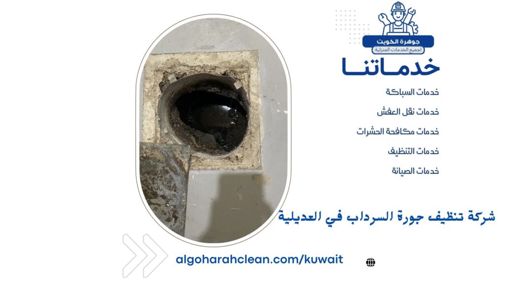 شركة تنظيف جورة السرداب في العديلية شركة تنظيف جورة السرداب في العديلية