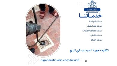 تنظيف جورة السرداب في الري