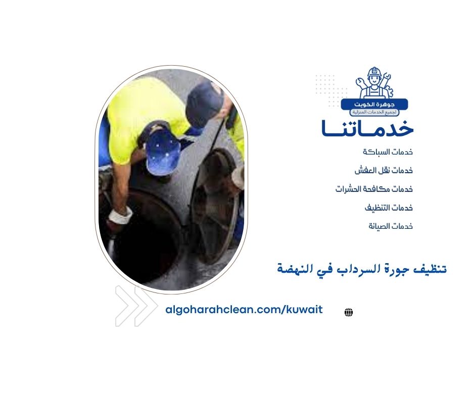 تنظيف جورة السرداب في النهضة