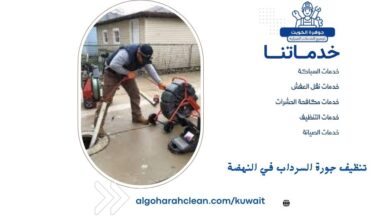 تنظيف جورة السرداب في النهضة