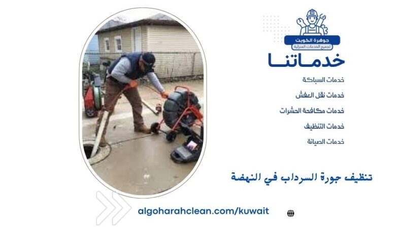 تنظيف جورة السرداب في النهضة