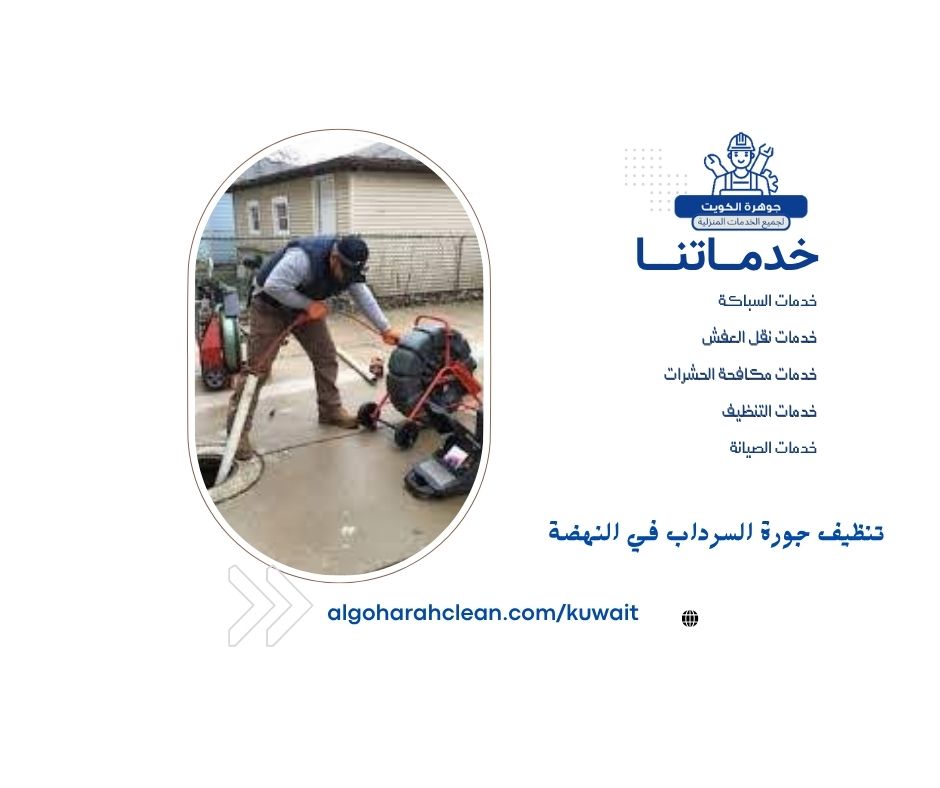 تنظيف جورة السرداب في النهضة تنظيف جورة السرداب في النهضة