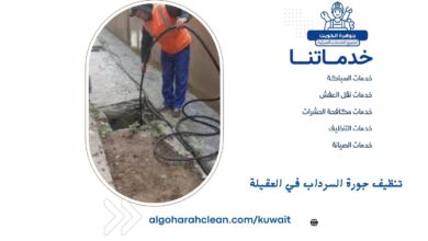 تنظيف جورة السرداب في العقيلة