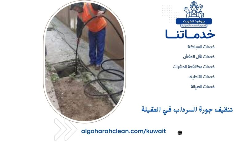 تنظيف جورة السرداب في العقيلة