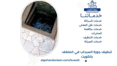 تنظيف جورة السرداب في المنقف بالكويت
