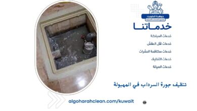 تنظيف جورة السرداب في المهبولة