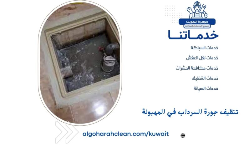 تنظيف جورة السرداب في المهبولة