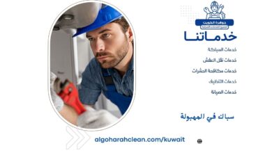 سباك في المهبولة