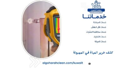 كشف خرير المياة في المهبولة