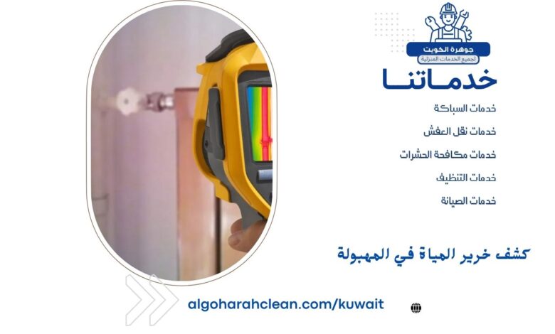 كشف خرير المياة في المهبولة