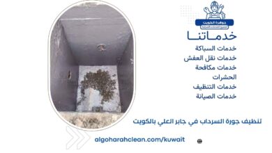تنظيف جورة السرداب في جابر العلي بالكويت