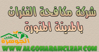 شركة مكافحة الفئران بالمدينة المنورة