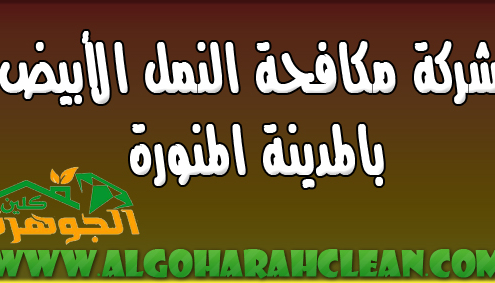 شركة مكافحة النمل الابيض بالمدينة المنورة