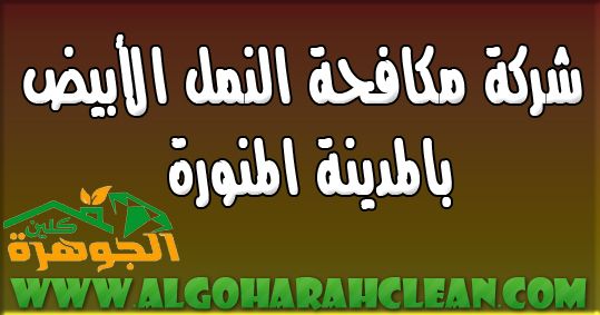 شركة مكافحة النمل الابيض بالمدينة المنورة
