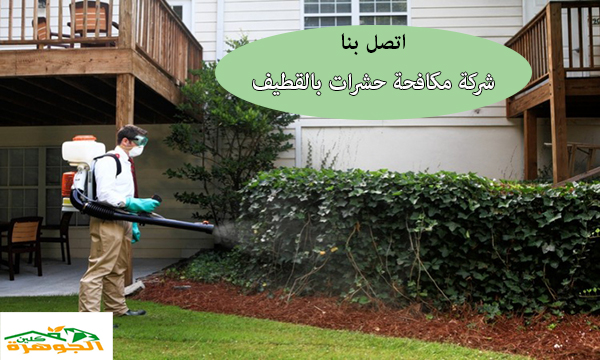 افضل شركة مكافحة حشرات بالقطيف اقل الاسعار