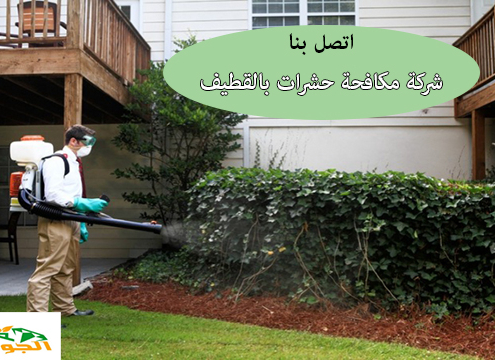 شركة مكافحة حشرات بالقطيف