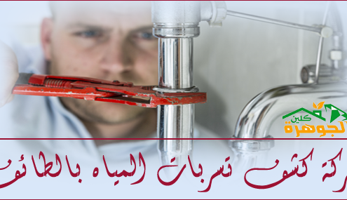 شركة كشف تسربات المياه بالطائف