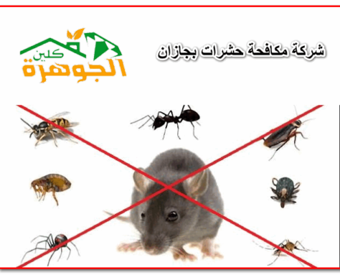 شركة مكافحة حشرات بجازان