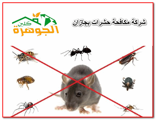شركة مكافحة حشرات بجازان للايجار 01025284450