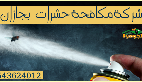 شركة مكافحة حشرات بجازان 0543624012 خدمة فورية وسريعة