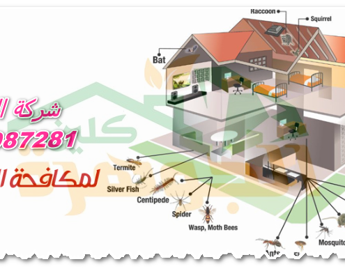 شركات مكافحة الحشرات بجدة