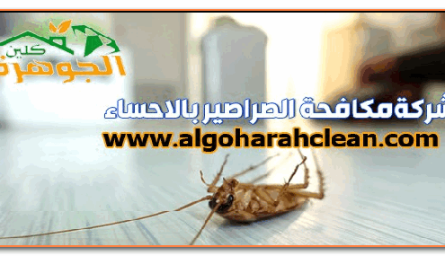 ارخص شركة مكافحة الصراصير بالاحساء