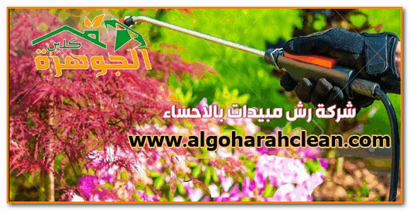 افضل شركة رش مبيدات بالاحساء
