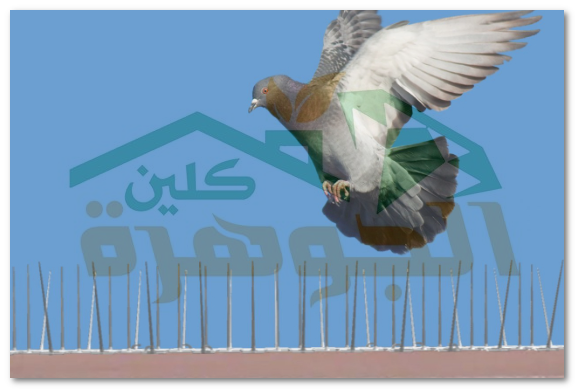 شركة تركيب طارد حمام بالاحساء