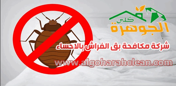 www.algoharahclean.com