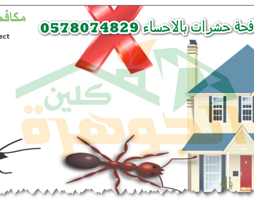 شركة مكافحة حشرات بالاحساء