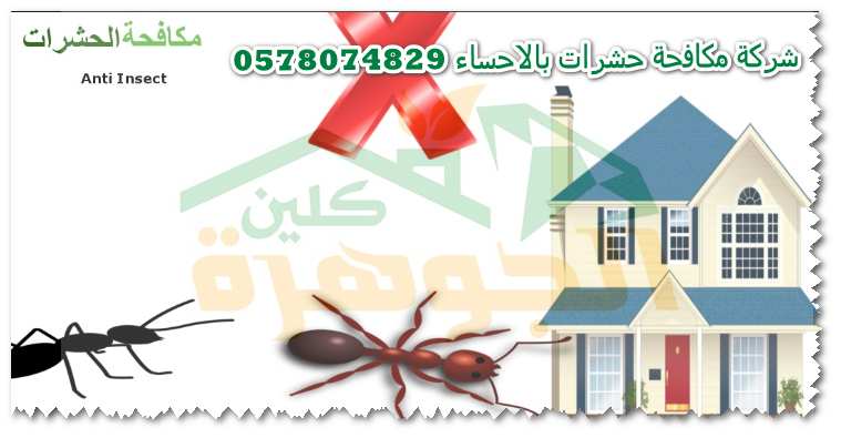 www.algoharahclean.com
