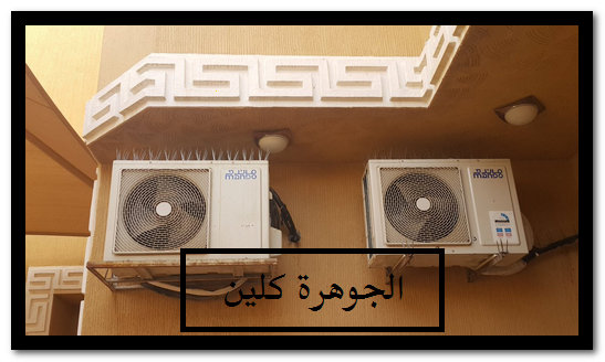 شركة تركيب طارد الحمام بالمدينة المنورة