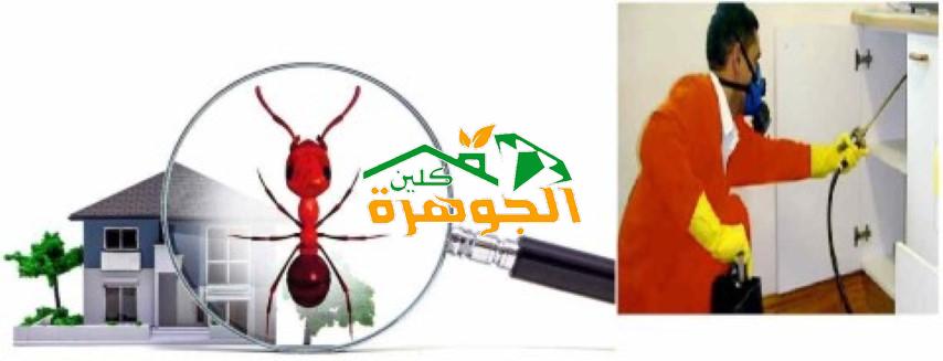 شركة مكافحة الحشرات بالمدينة المنورة شركة مكافحة الحشرات بالمدينة المنورة