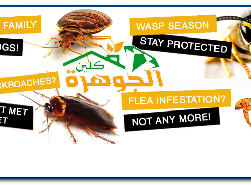 شركة مكافحة حشرات بالباحة