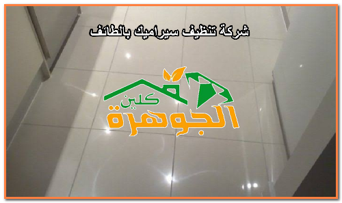 شركة تنظيف سيراميك بالطائف