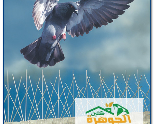 شركة تركيب طارد الحمام بالرياض
