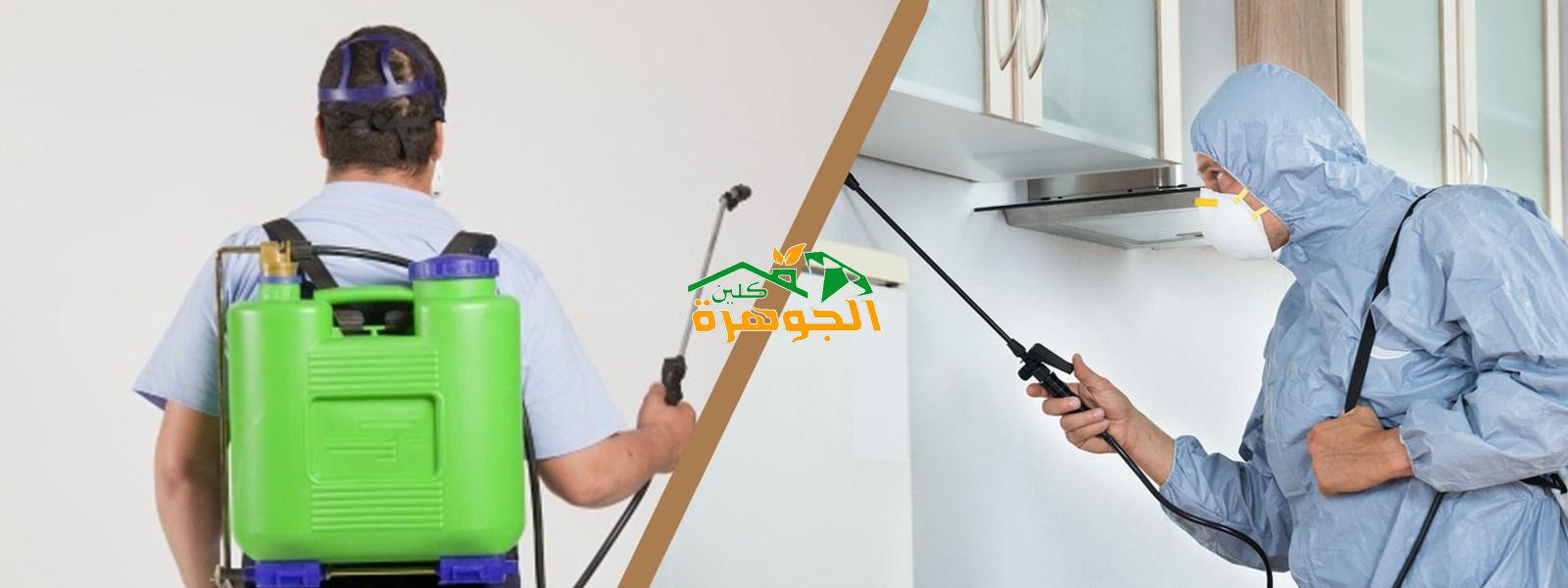 شركة الصفرات لمكافحة الحشرات بالرياض شركة الصفرات لمكافحة الحشرات بالرياض