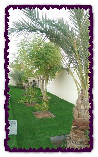 شركة تنسيق حدائق بالجبيل الصناعية شركة تنسيق حدائق بالجبيل الصناعية