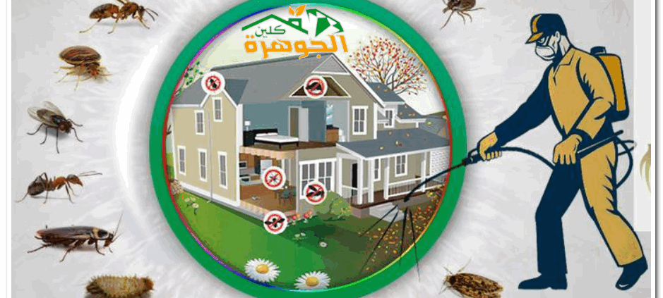 شركة مكافحة حشرات بجدة