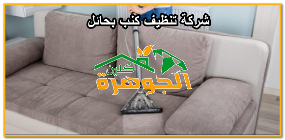 من بين خيار سهل التحكم تجارب تنظيف الكنب filipinofusiondesserts com