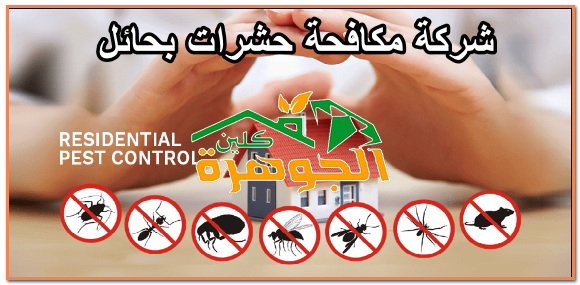 شركة مكافحة حشرات بحائل - خدمات فعالة لحماية منزلك
