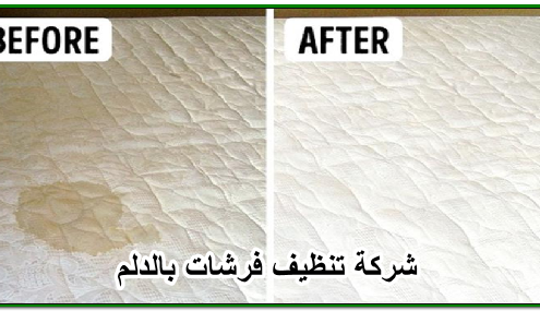 شركة تنظيف فرشات بالدلم