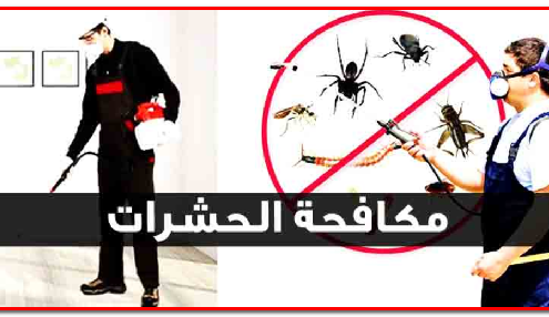 شركة مكافحة حشرات بالدرب